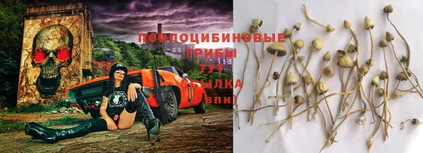 мескалин Протвино