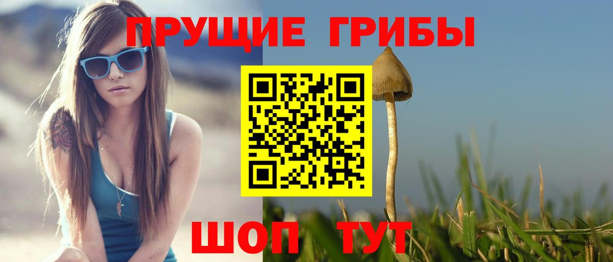 наркота  Сафоново  Галлюциногенные грибы мухоморы 